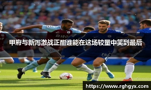 甲府与新泻激战正酣谁能在这场较量中笑到最后